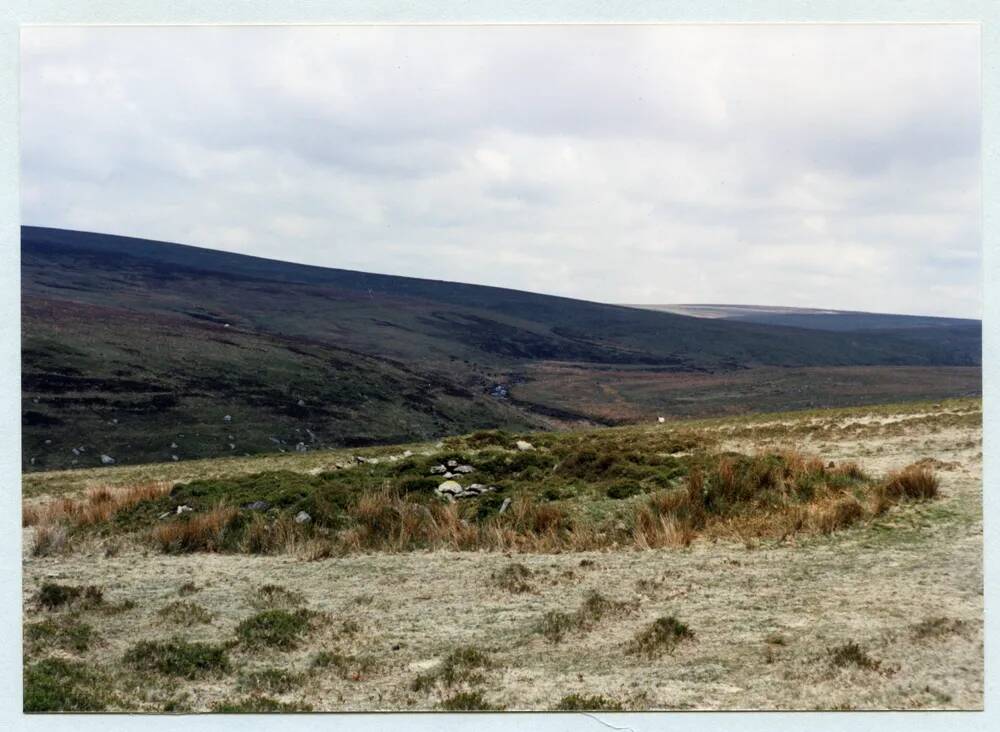 An image from the Dartmoor Trust Archive