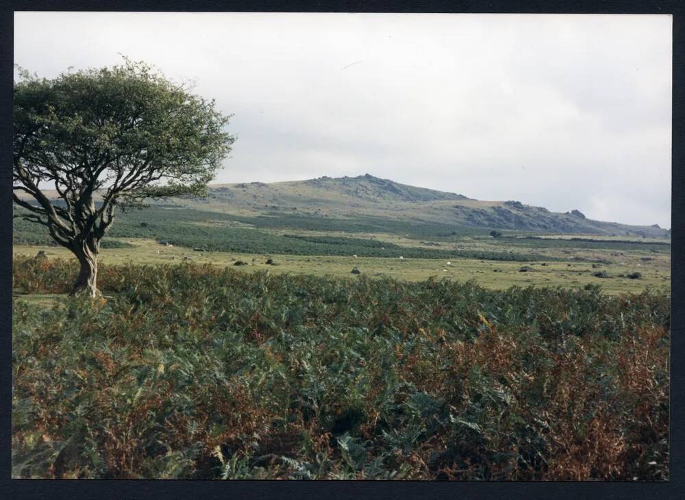 An image from the Dartmoor Trust Archive