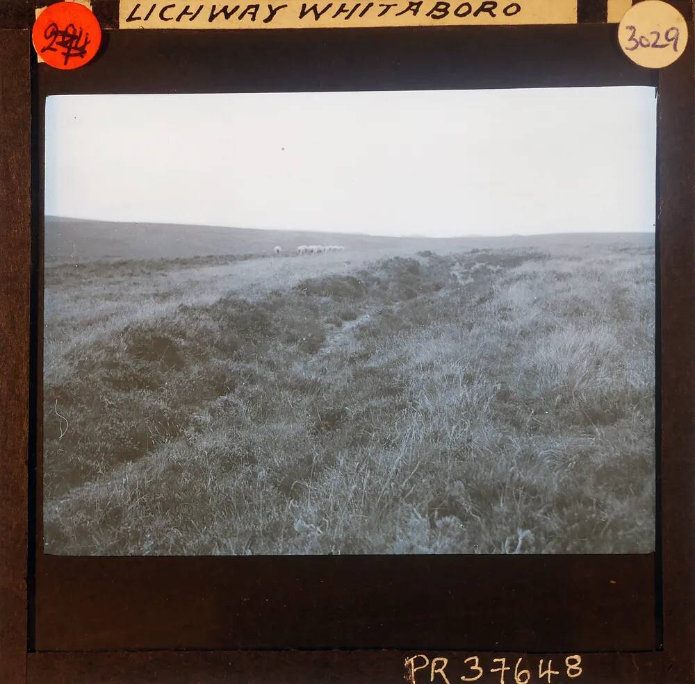 An image from the Dartmoor Trust Archive