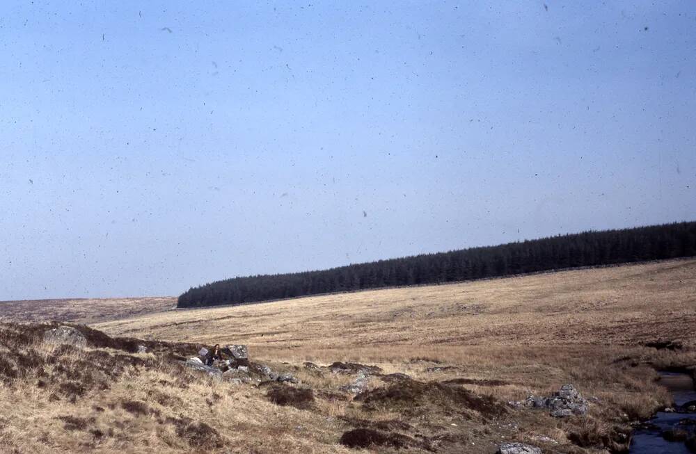 An image from the Dartmoor Trust Archive