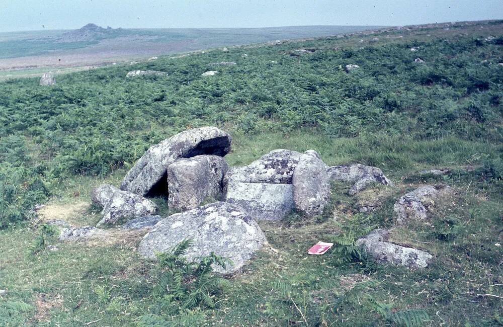 An image from the Dartmoor Trust Archive