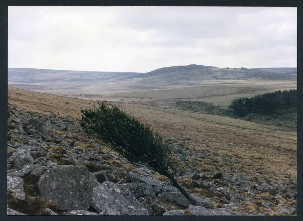 An image from the Dartmoor Trust Archive