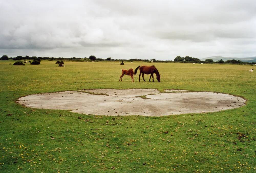 An image from the Dartmoor Trust Archive