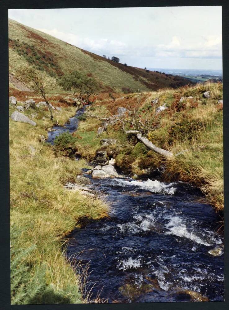 An image from the Dartmoor Trust Archive