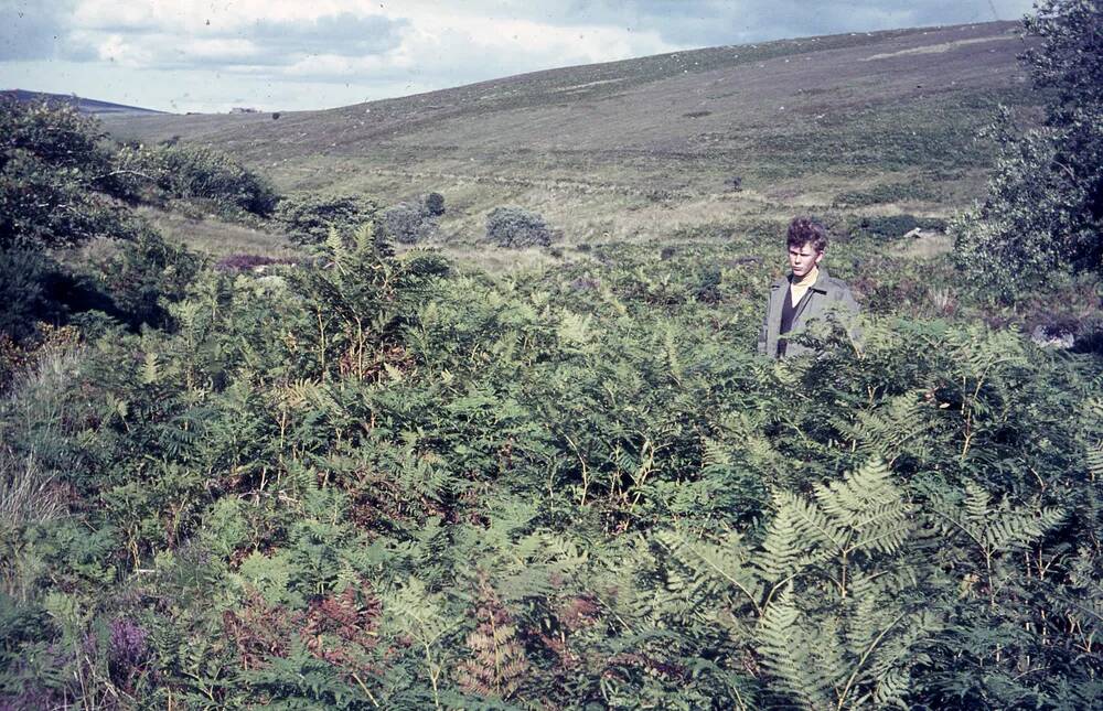 An image from the Dartmoor Trust Archive