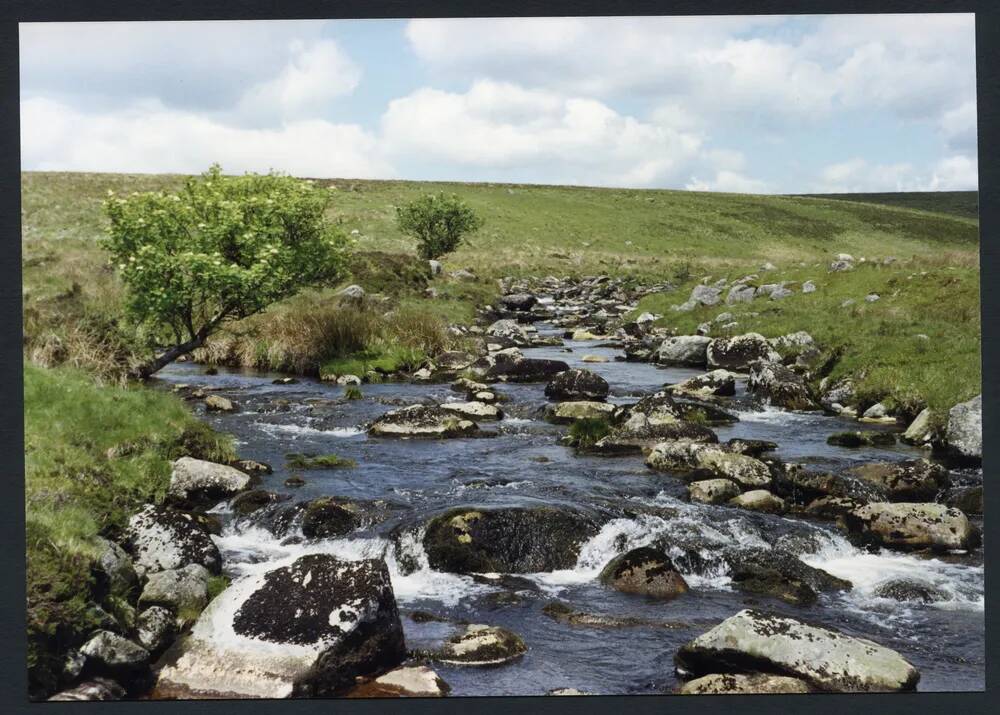 An image from the Dartmoor Trust Archive