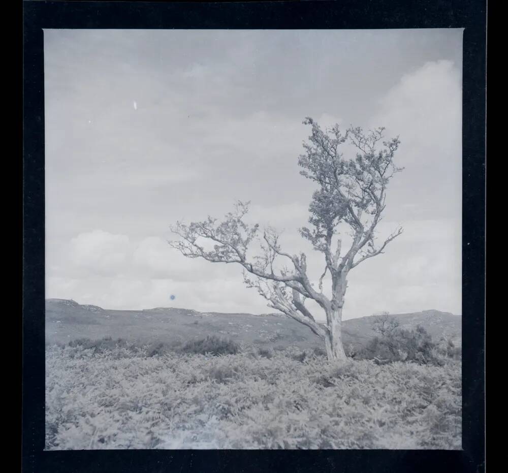 An image from the Dartmoor Trust Archive