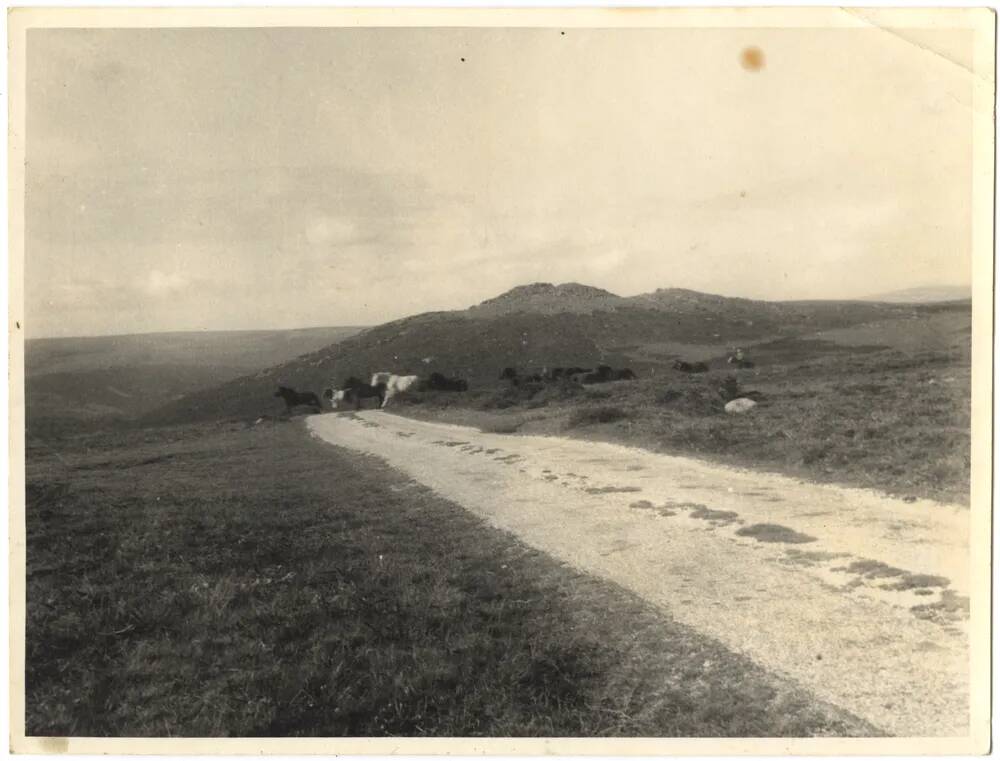 An image from the Dartmoor Trust Archive