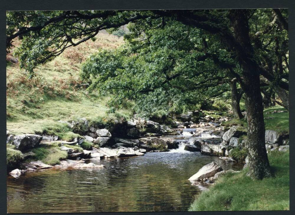 An image from the Dartmoor Trust Archive