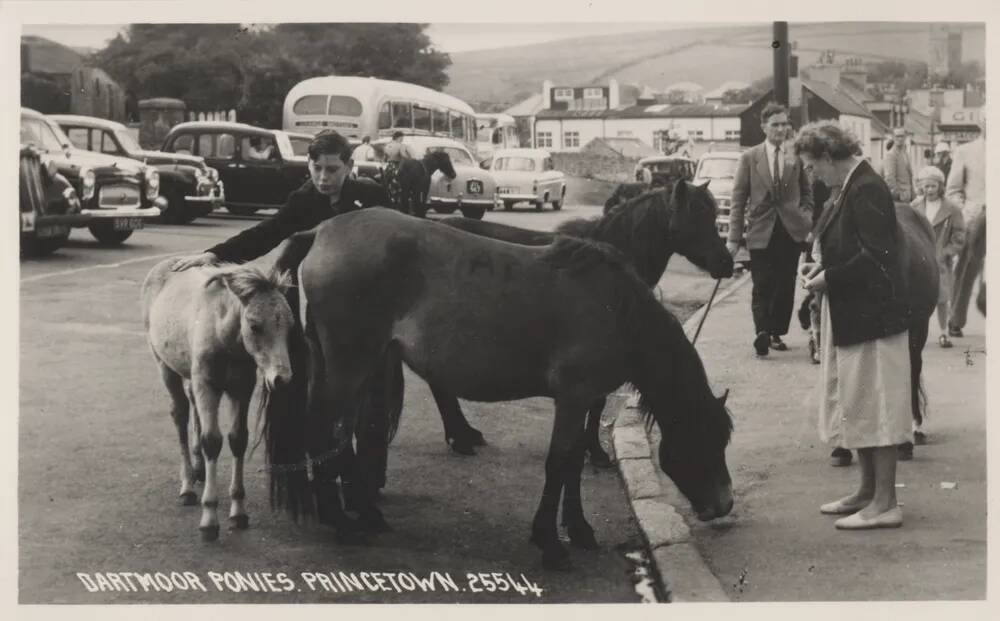 An image from the Dartmoor Trust Archive