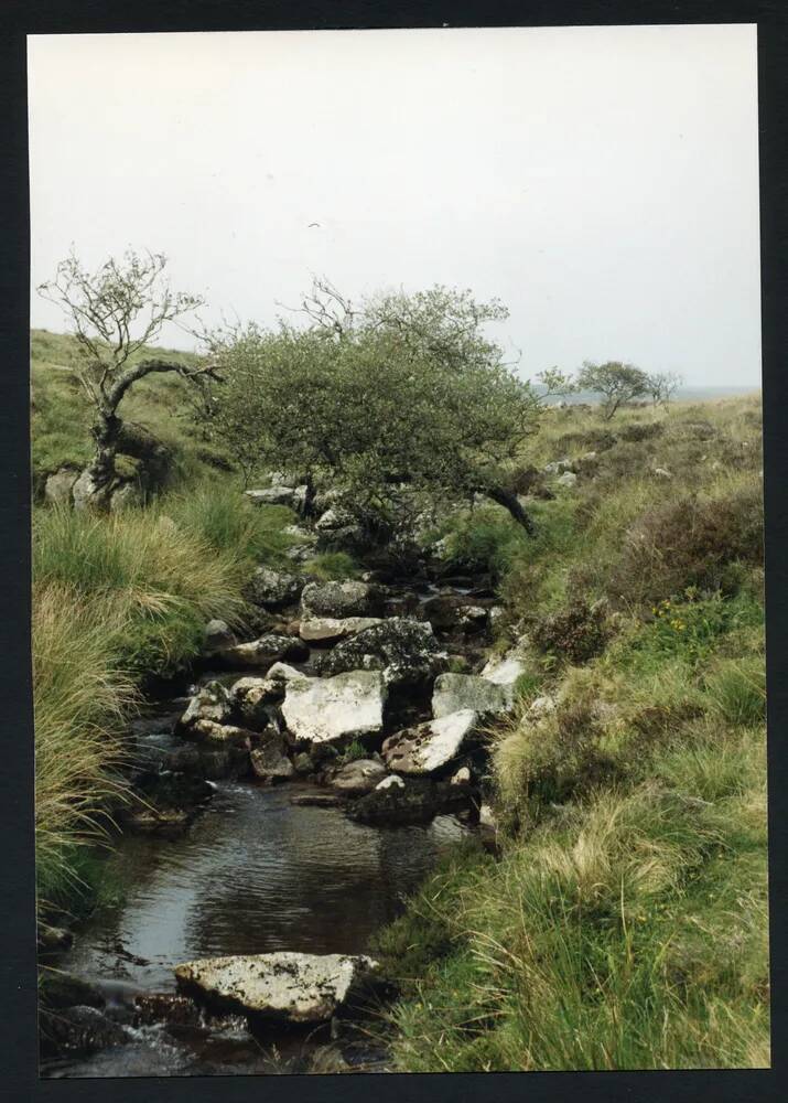 An image from the Dartmoor Trust Archive