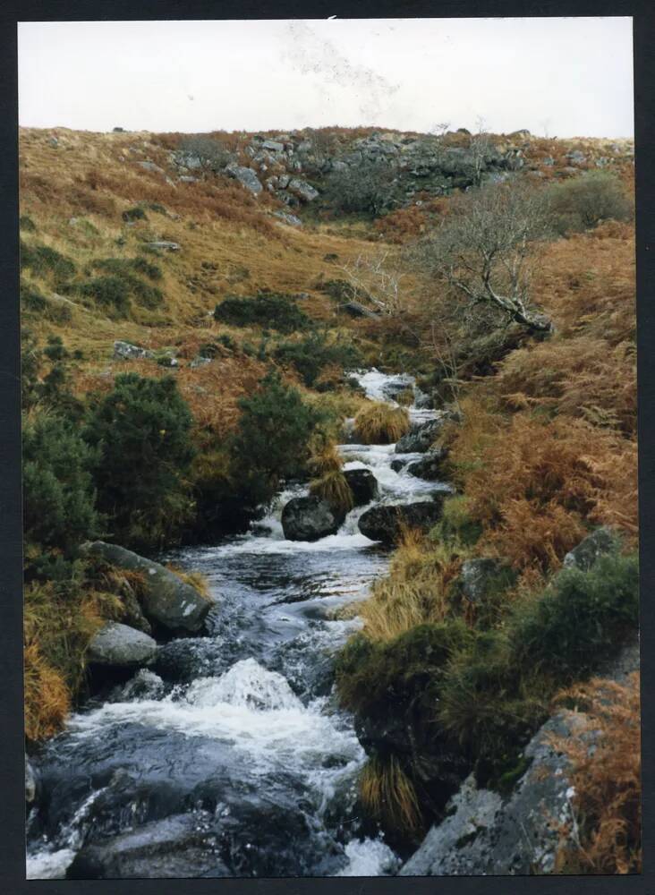 An image from the Dartmoor Trust Archive