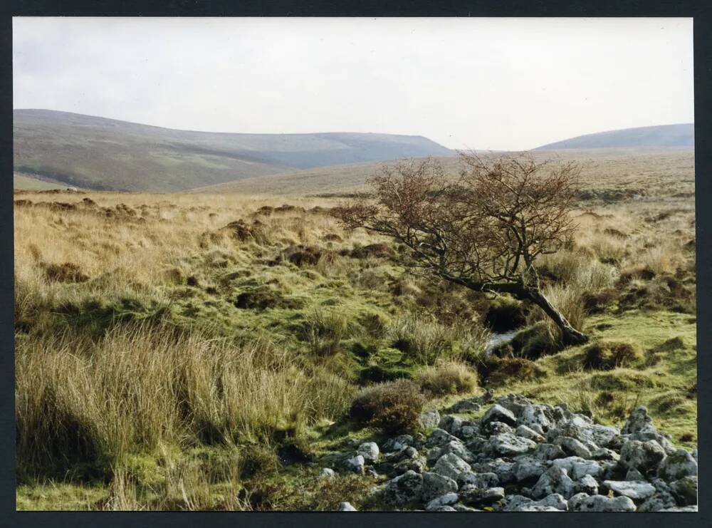 An image from the Dartmoor Trust Archive