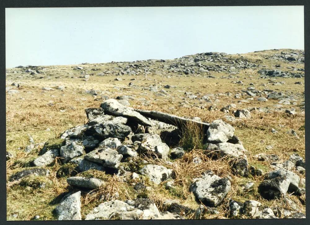 An image from the Dartmoor Trust Archive