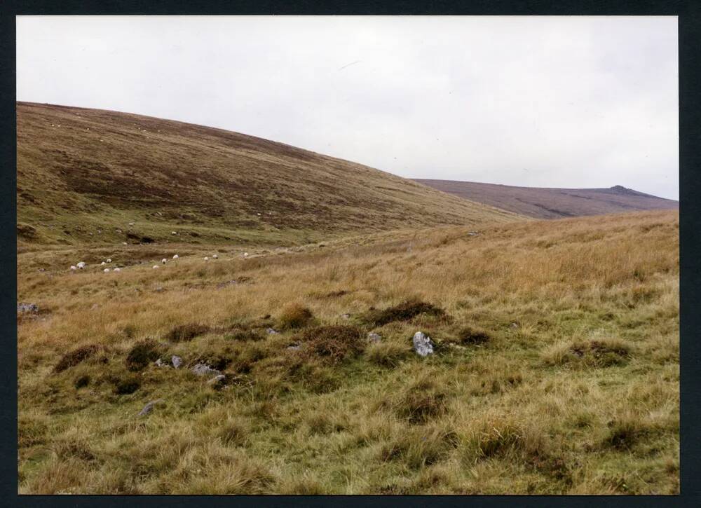 An image from the Dartmoor Trust Archive