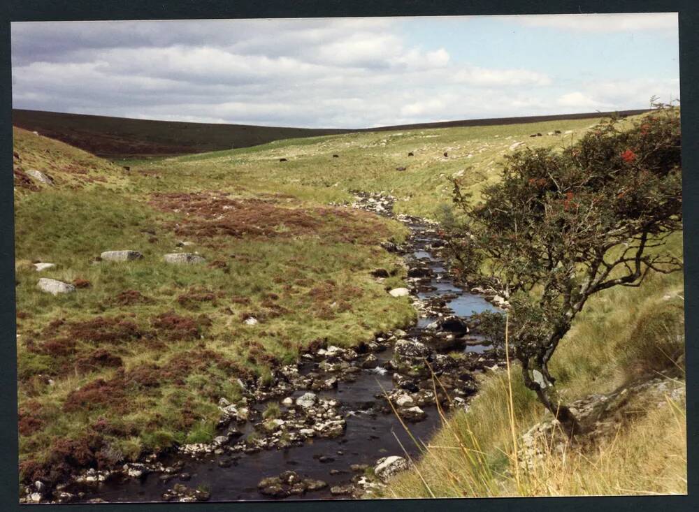 An image from the Dartmoor Trust Archive