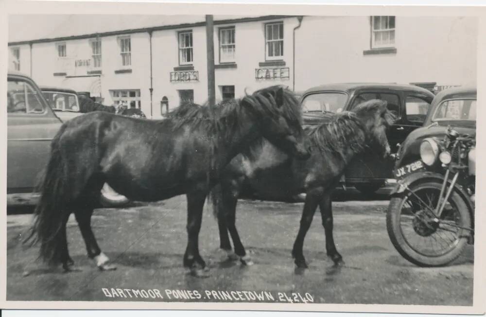 An image from the Dartmoor Trust Archive