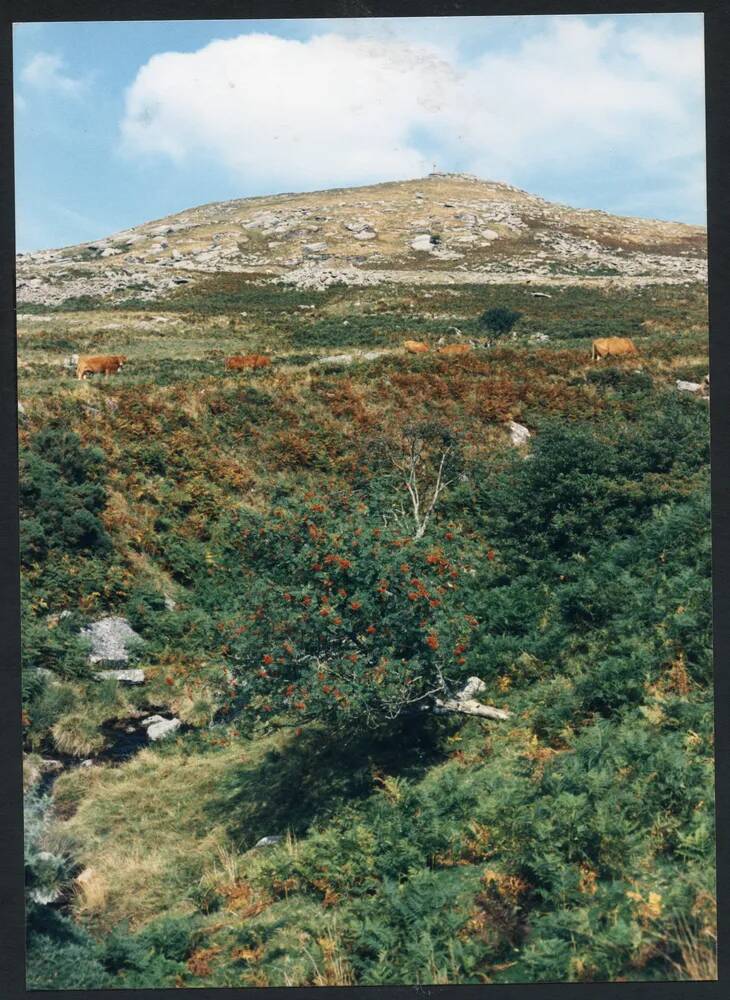 An image from the Dartmoor Trust Archive