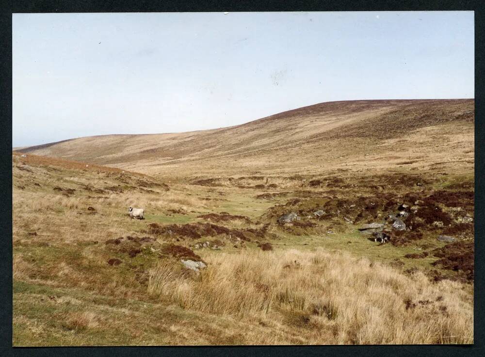 An image from the Dartmoor Trust Archive