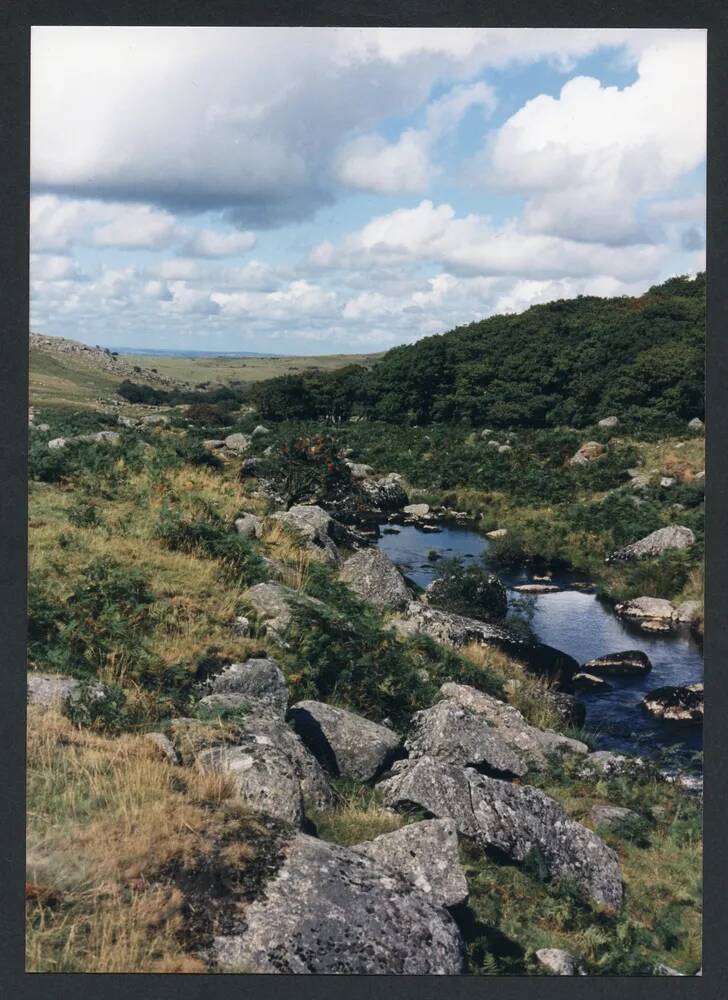 An image from the Dartmoor Trust Archive