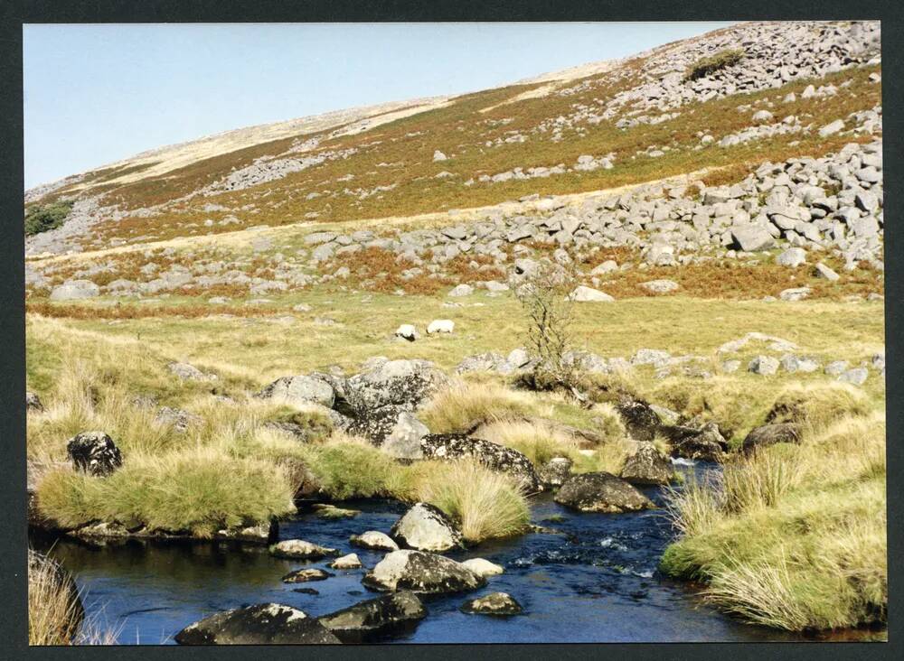 An image from the Dartmoor Trust Archive