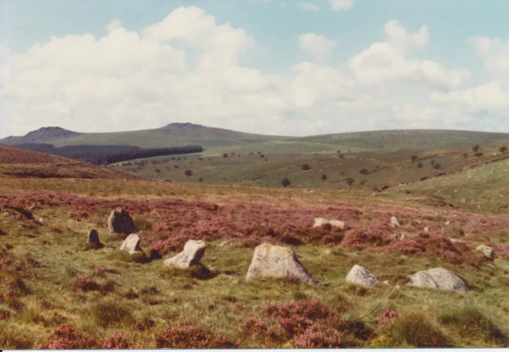 Hart Tor North Circle