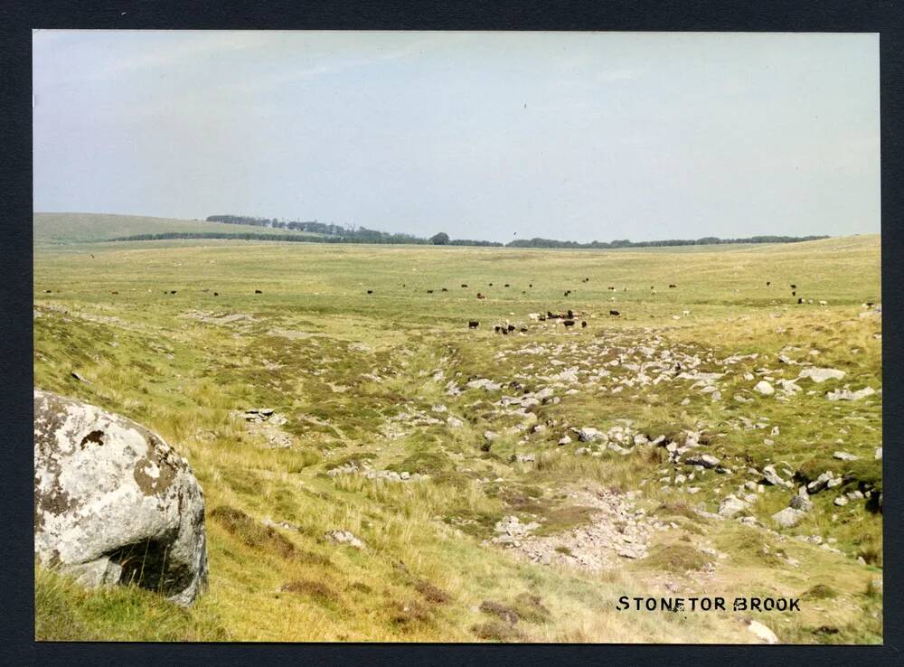 An image from the Dartmoor Trust Archive