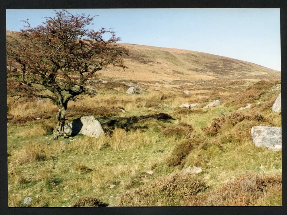 An image from the Dartmoor Trust Archive