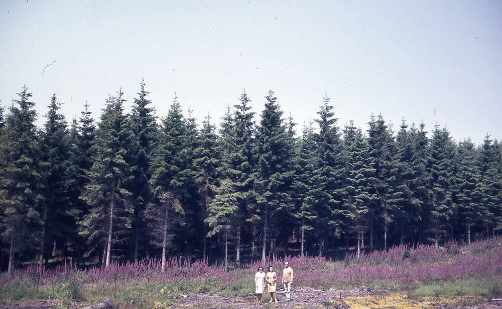 An image from the Dartmoor Trust Archive