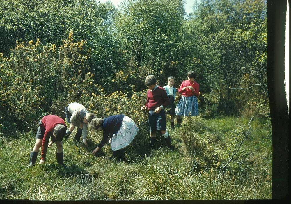 An image from the Dartmoor Trust Archive