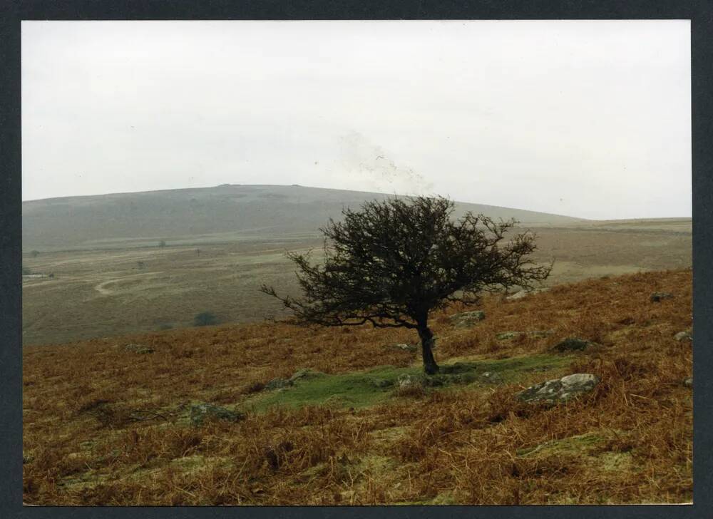 An image from the Dartmoor Trust Archive