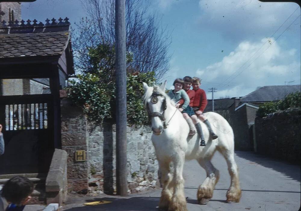 An image from the Dartmoor Trust Archive