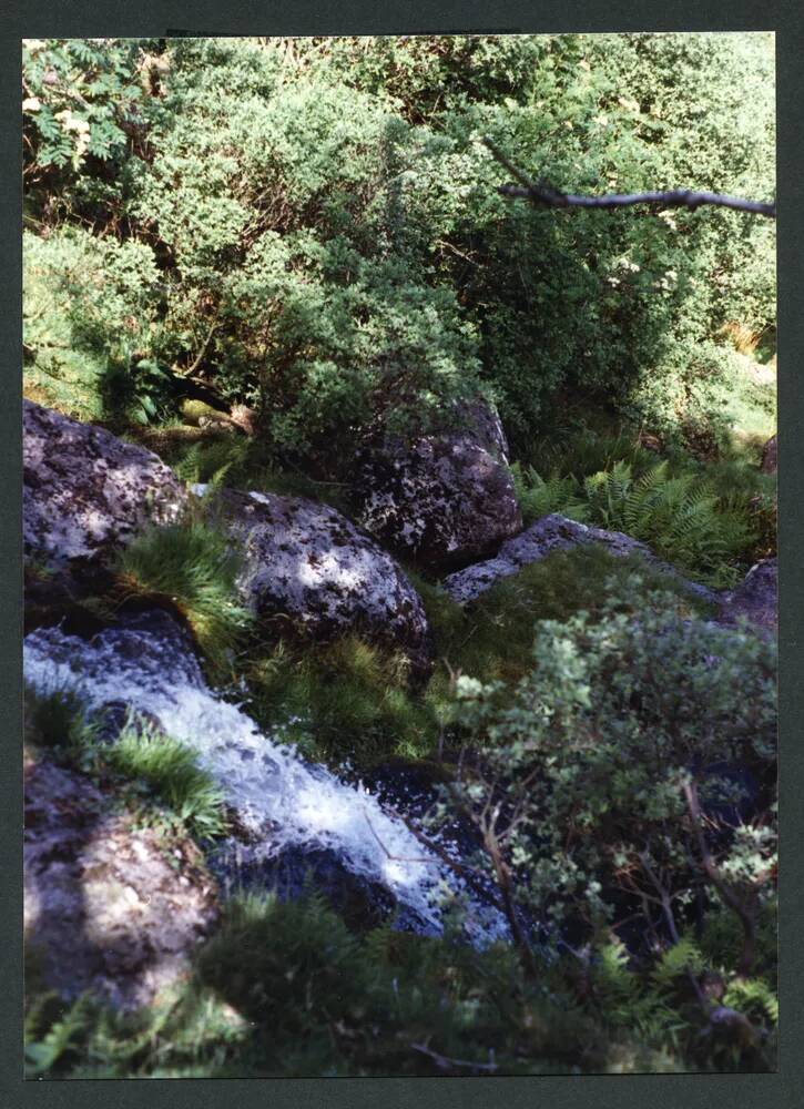 An image from the Dartmoor Trust Archive