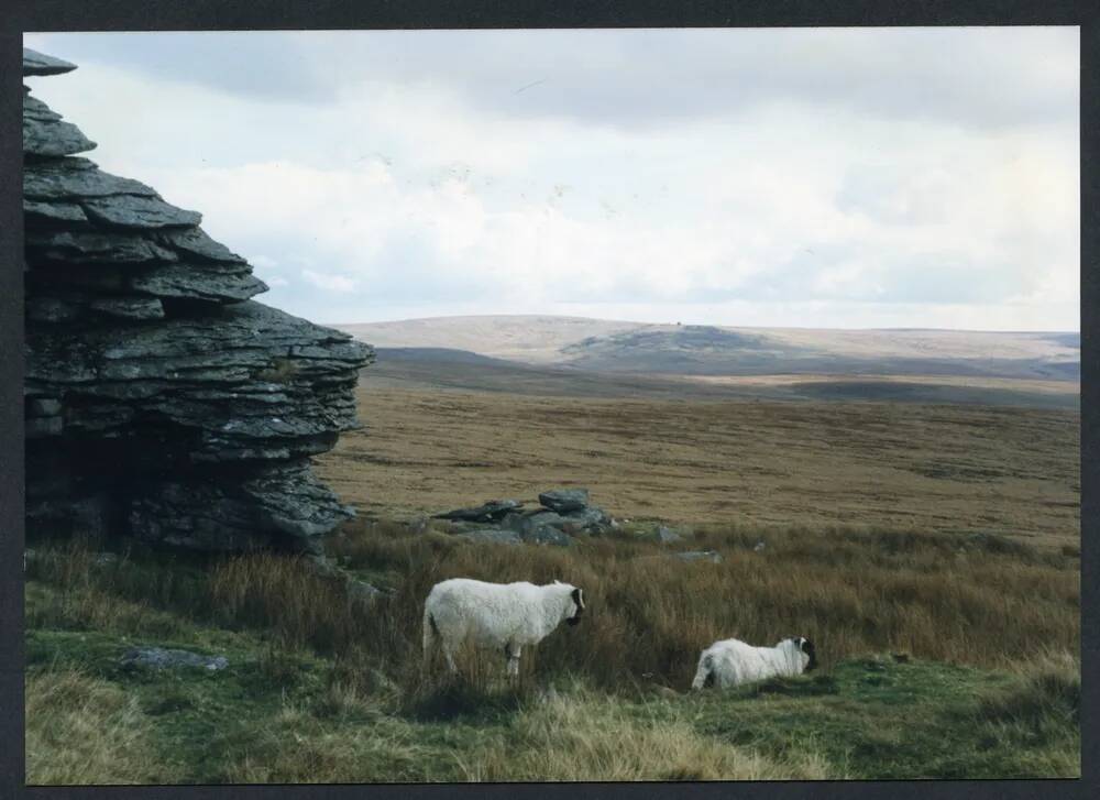 An image from the Dartmoor Trust Archive