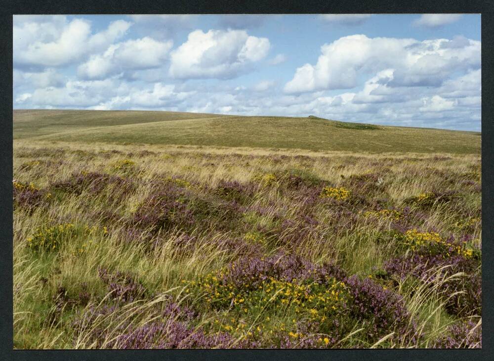 An image from the Dartmoor Trust Archive