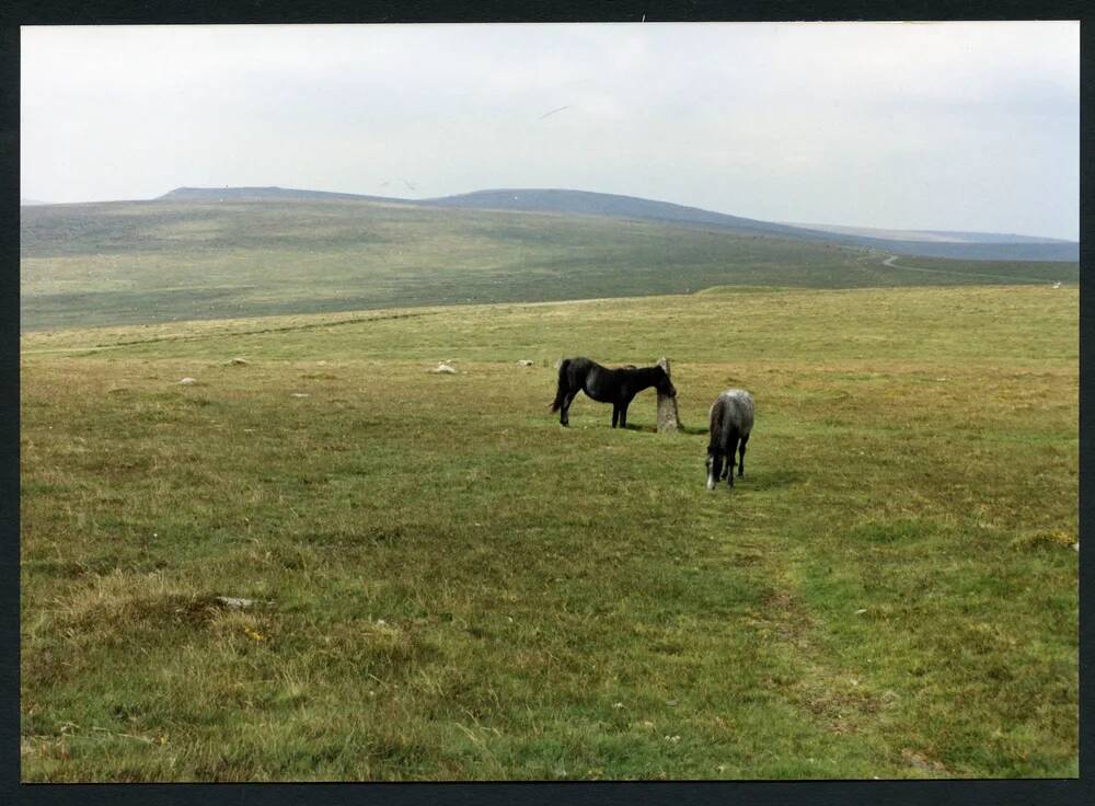 An image from the Dartmoor Trust Archive