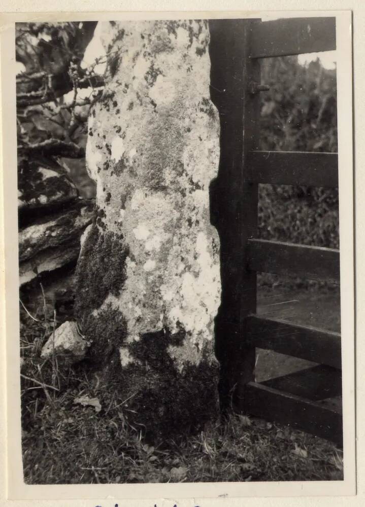 Stone Cross at Gidleigh, used as gate post