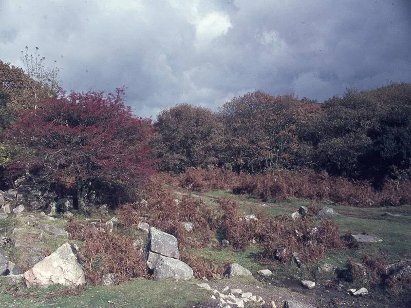 An image from the Dartmoor Trust Archive