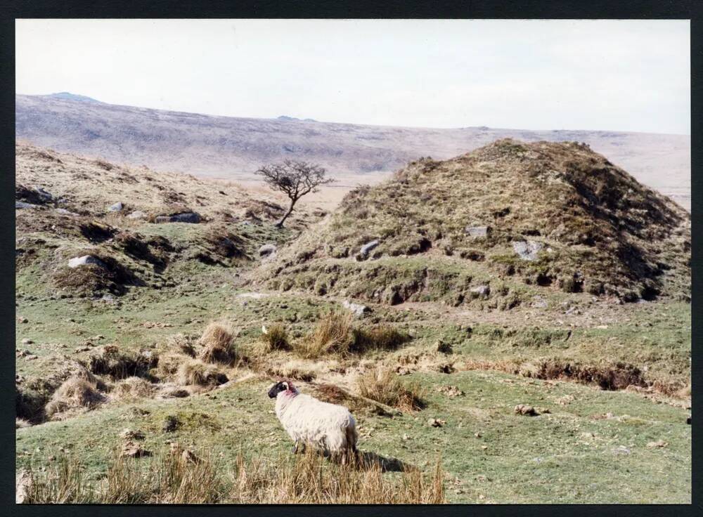 An image from the Dartmoor Trust Archive