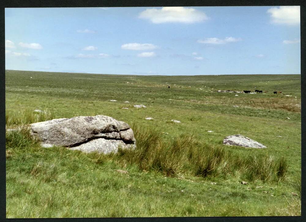 An image from the Dartmoor Trust Archive