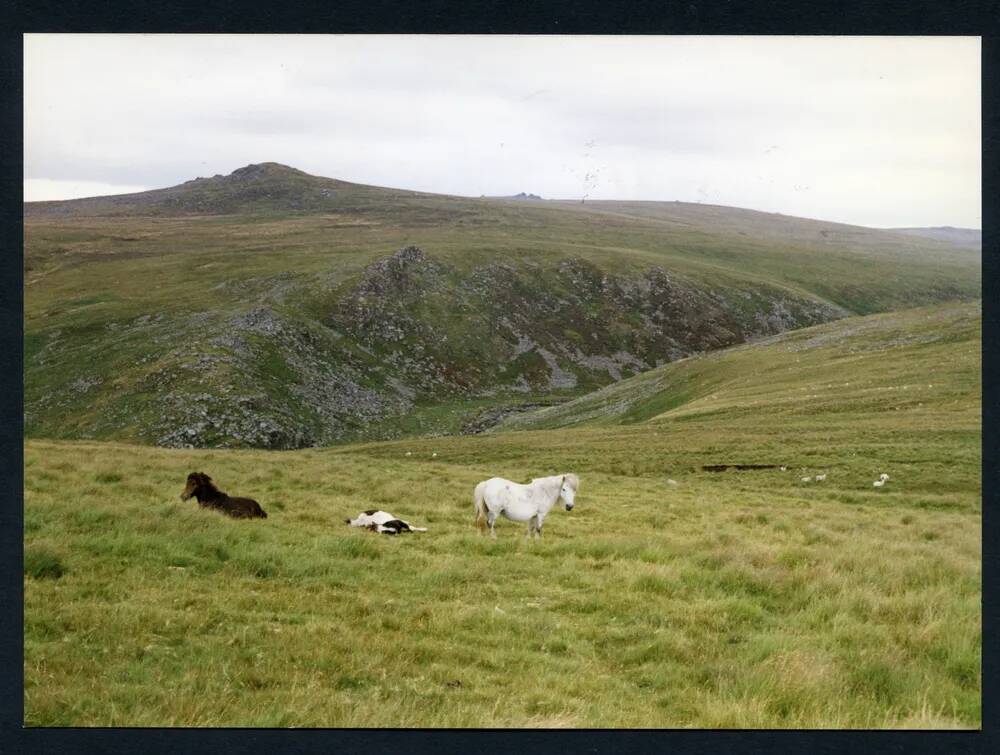 An image from the Dartmoor Trust Archive