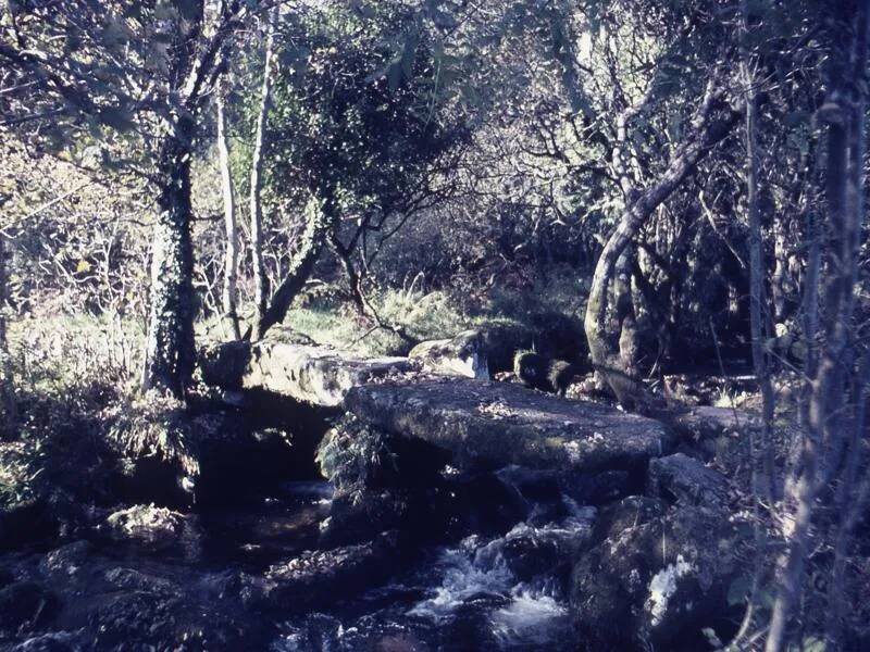 An image from the Dartmoor Trust Archive