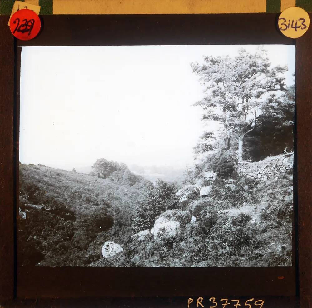 An image from the Dartmoor Trust Archive