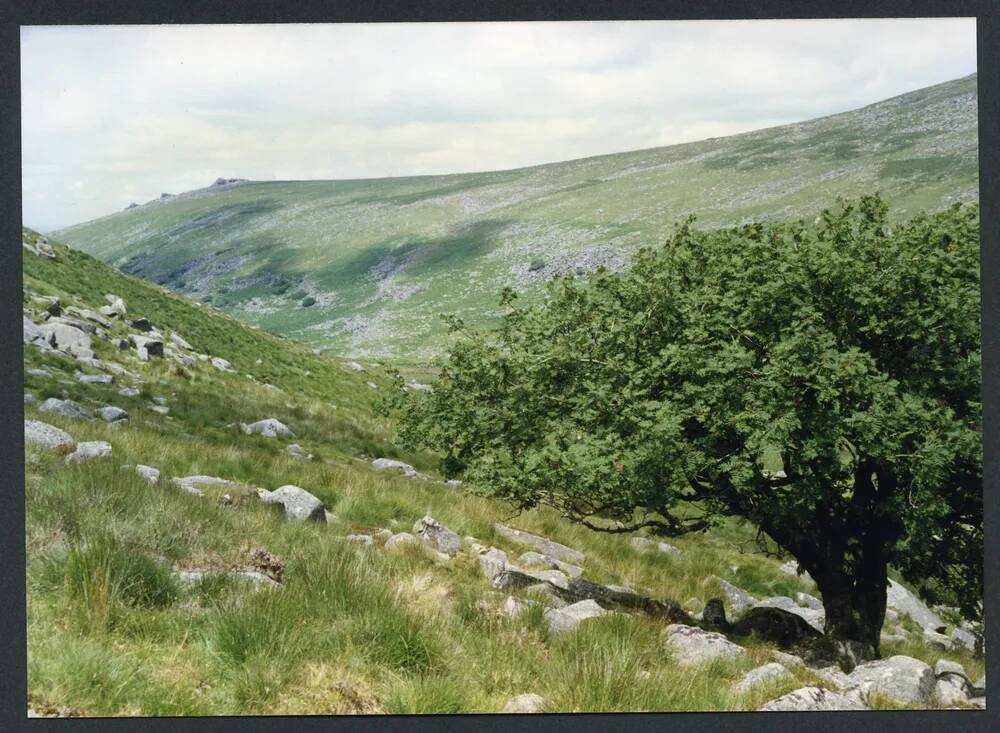 An image from the Dartmoor Trust Archive