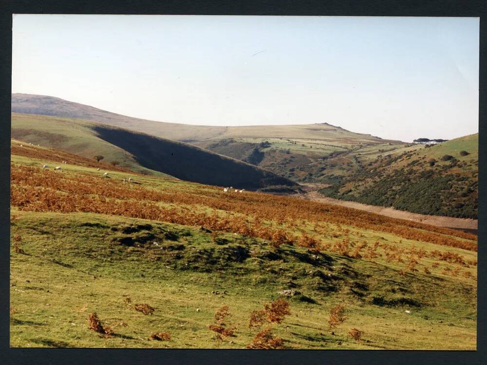 An image from the Dartmoor Trust Archive