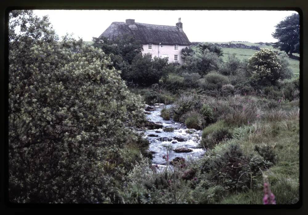 Cherrybrook Farm