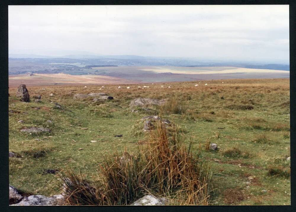 An image from the Dartmoor Trust Archive