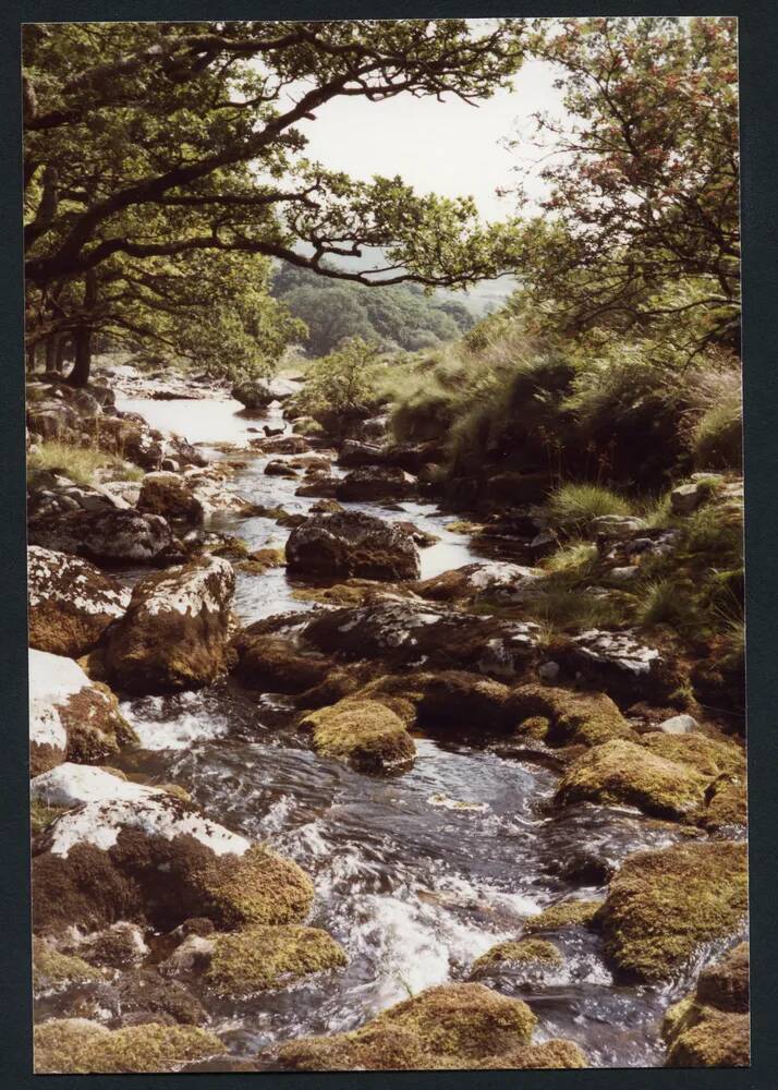 An image from the Dartmoor Trust Archive