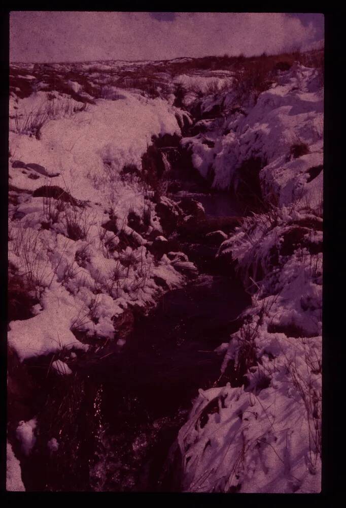 An image from the Dartmoor Trust Archive