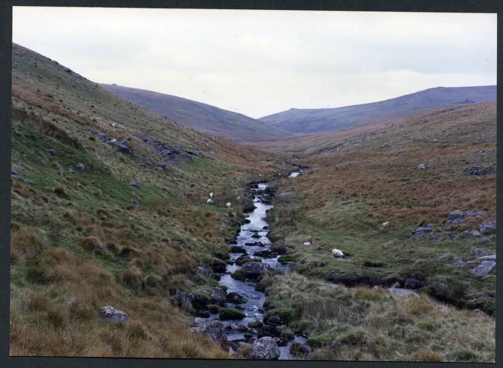 An image from the Dartmoor Trust Archive